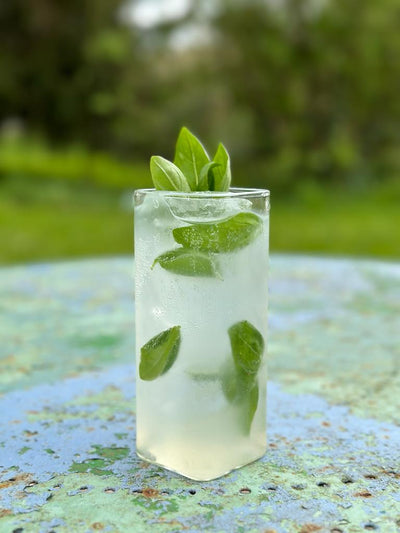 Basil Gin To